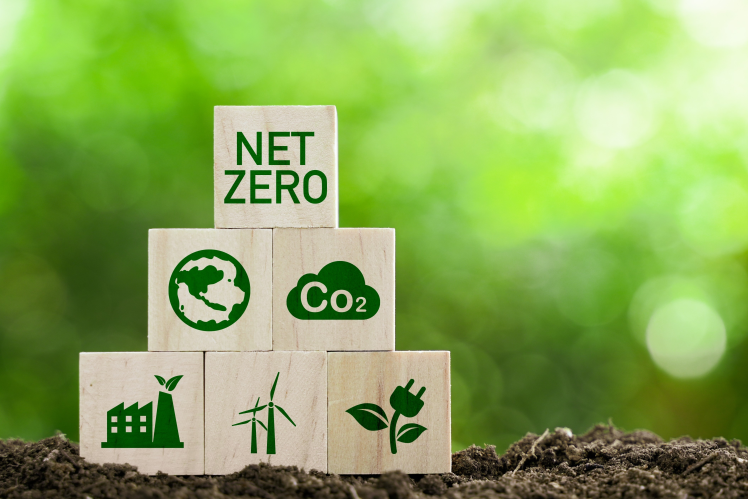 Net zero 1
