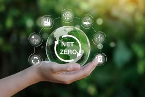 Net zero_credit_shutterstock_Deemerwha studio_2143046893